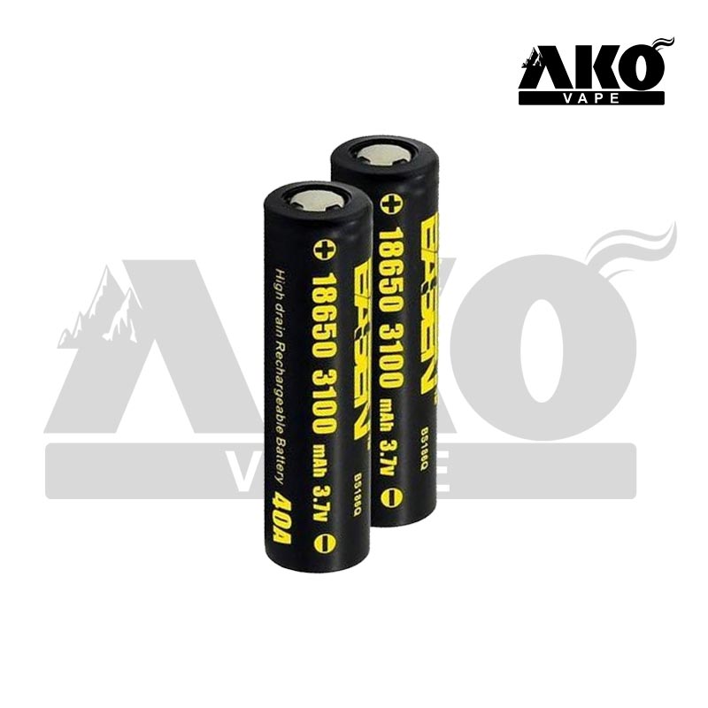 BASEN battery 3100