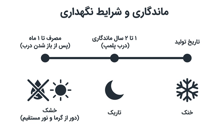 ماندگاری جویس